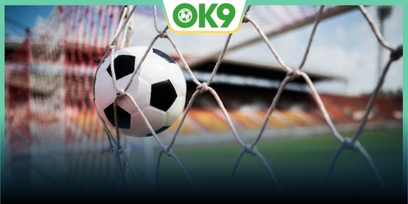 Discover the attractive betting system only available at OK9