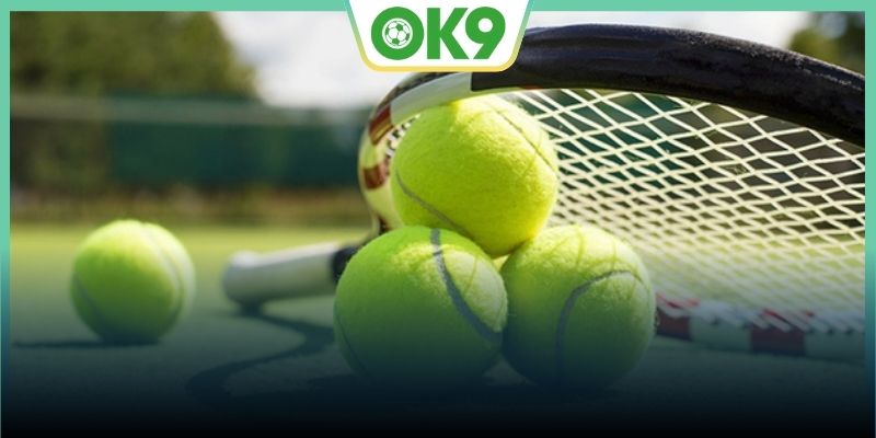 Tennis investment experience from experts