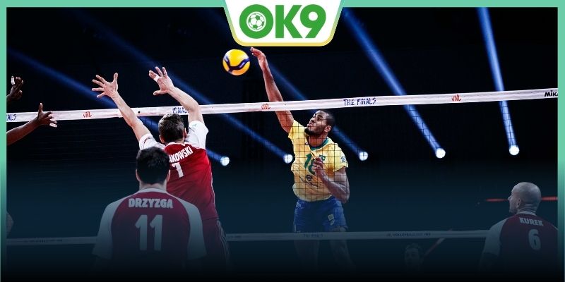 Find out the fun of volleyball betting